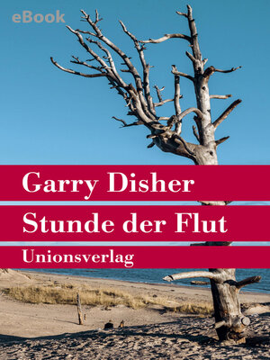 cover image of Stunde der Flut